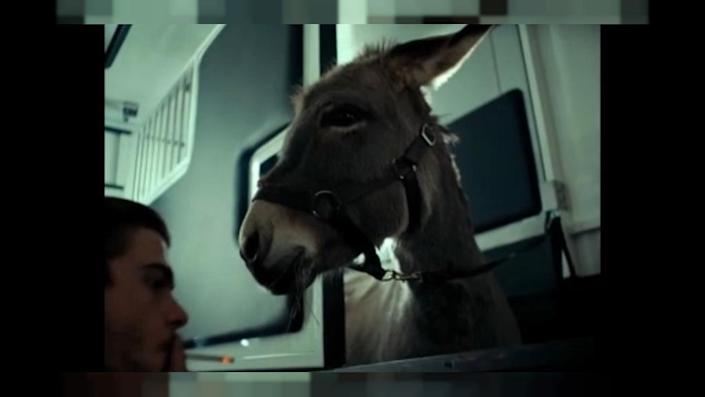 “Eo” at the Festival in Cannes – filmmaker Skolimowski’s film about theordeal of a donkey