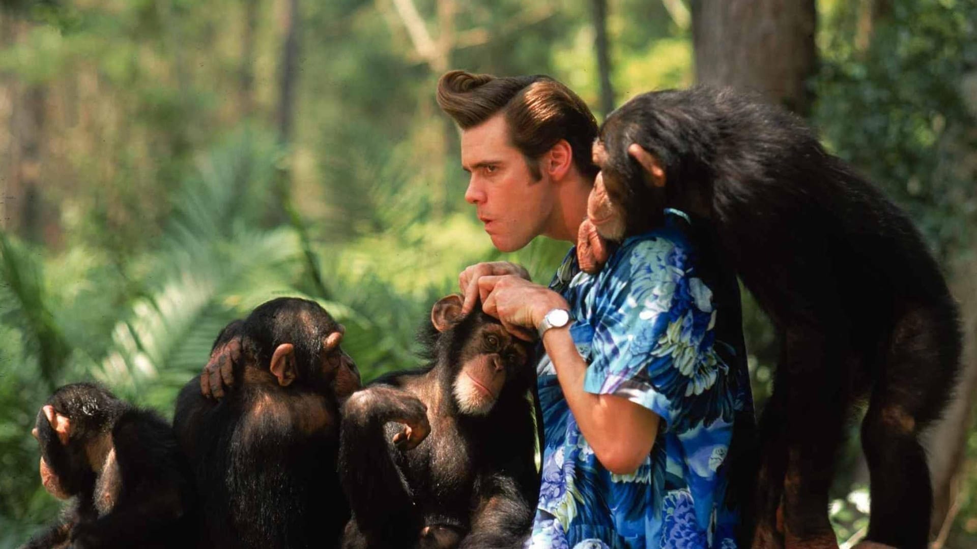 Jim Carrey sagt Ja zu „Ace Ventura 3“ – wenn Christopher Nolan Regieführt